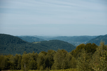 Fototapeta premium Landscape of deciduous forest in the mountains