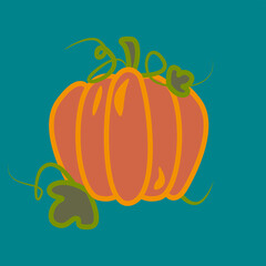 Pumpkin line art vector on square turquoise background. Orange pumpkin with green leaves and vines. Object for print, posts. Autumn harvest stamp. Lar