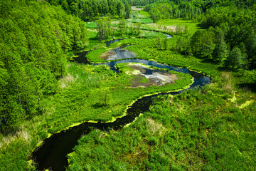 Stunning river and blooming algae in summer.