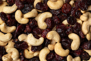 Cashew nuts and cranberries full frame close up as background   