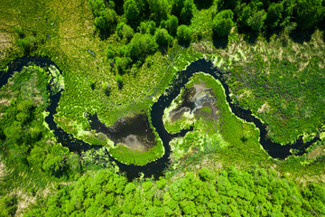 Flying above river and green forest in summer.