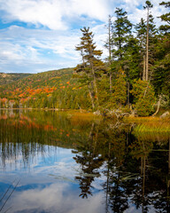 Fototapeta premium Acadia National Park, ME - USA - Oct. 13, 2021: An autumnal vertical view of multi color trees refleciting in Hadlock Pond in Acadia National Park in Maine.