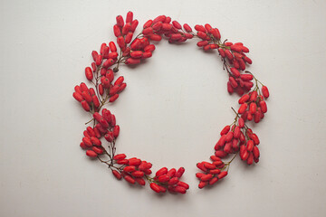 autumn backgound with barberry.