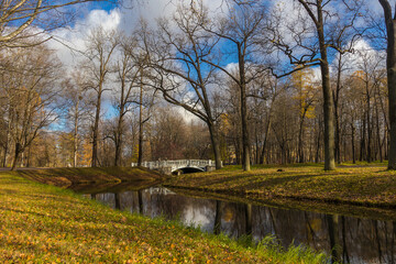 Autumn rivers and ponds of Alexander Park