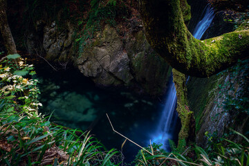 waterfall in the woods