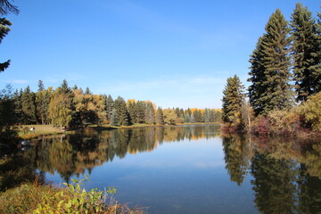 Fototapeta na wymiar autumn trees reflected in water, William Hawrelak Park, Edmonton, Alberta