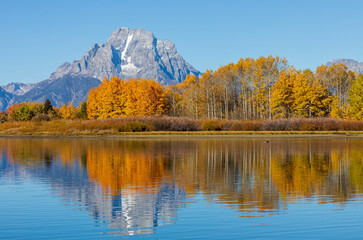 Scenic Landscape in Grand Teton National Park in Autumn