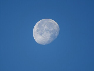 fly me to the moon