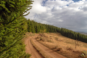 Fototapeta na wymiar Rural, dusty road through the nature in Eastern Serbia