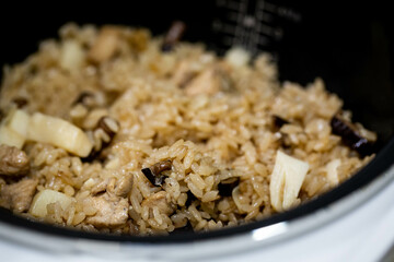 Rice cooked with chicken, bamboo shoots, mushrooms.Gohan.