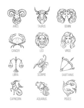Astrology signs, zodiac outline simbols. Vector set illustration