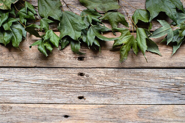 Dry leaves on wood background