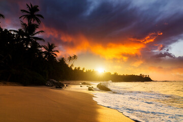 Fototapeta na wymiar Romantic sunset on a tropical beach with palm trees