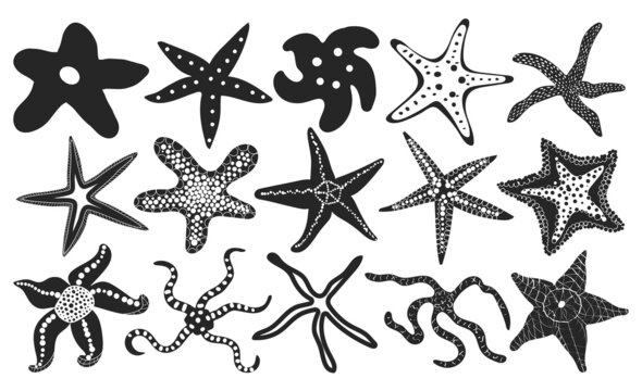 Sea starfish vector black set icon. Vector illustration marine star on white background. Isolated black set icon sea starfish.