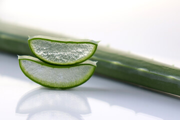 Aloe vera on a white background. Herb for the treatment and care of the skin. Spa and cosmetology....