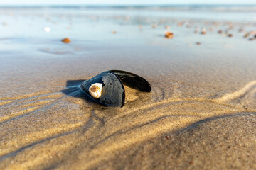 Obraz premium Looking to you