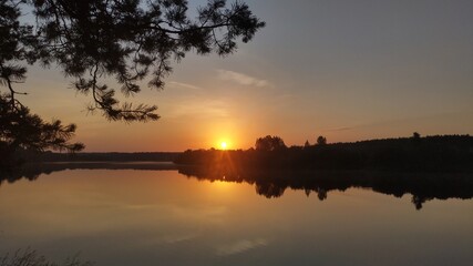 Pine branches overhang the river. The sun rose over the forest on the opposite bank of the river. The sky and the forest are reflected in the calm water of the river