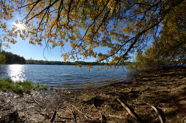 Seelandschaft im Herbst