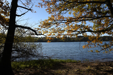 Obraz premium Seelandschaft im Herbst