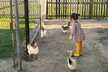 A girl in casual village clothes and rubber yellow boots is calling birds to her backyard to feed. Care, affection and love for domestic birds. Childhood in the village. Chicken Farm.