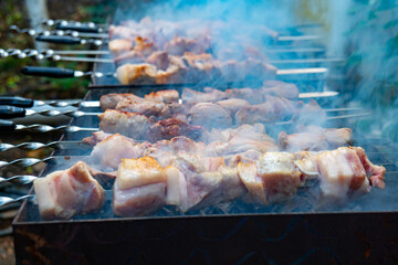 Georgian mtsvadi (Shashlik) preparation. Smoking shashlik on the grill