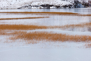 Winter in Patagonia: frozen lake with patches of reed in Torres del paine National Park, Chile