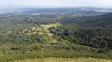 Obraz premium Paysage de foret 