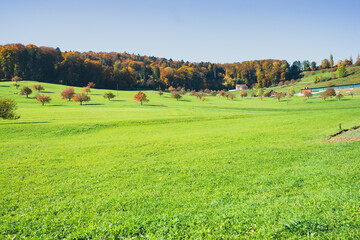 Amazing  hiking through Region Wasserfallen in Baselland in Switzerland. Waldenburg, Liestal, Bubendorf, Sissach are the important hiking places in this part of Switzerland