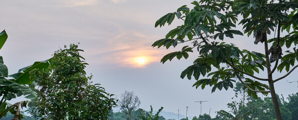 Sunset on a beautiful plantation