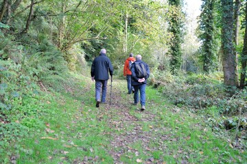 Obraz premium senior hikers on a path in Brittany France