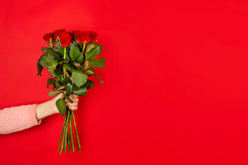 Beautiful bouquet of red roses in a woman hand isolated on white background. Trendy poster for...