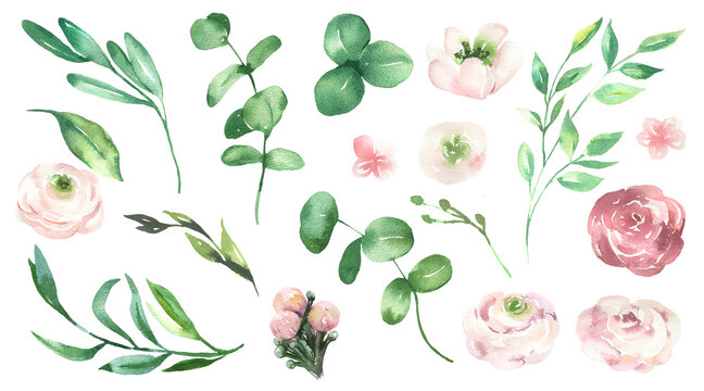Watercolor floral collection with flowers blooms and green leaves. Floral collection perfect for spring greeting cards, invitation, cards and more. High quality illustration