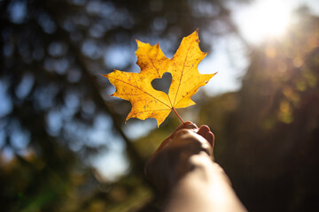 Schönes Herz in einem gelben Blatt im Herbst als Zeichen der Liebe und schöne Gefühle
