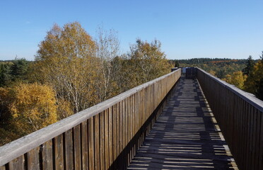 Naklejka premium Wooden viewpoint platform 