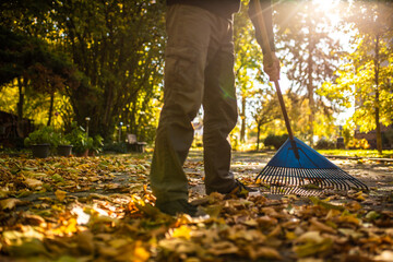 Gartenarbeit im Herbst Laub zusammenfegen mit Rechen
