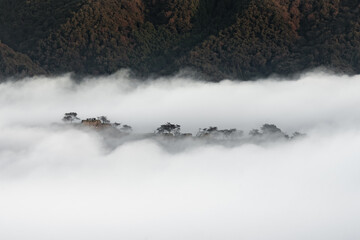 竹田城の雲海