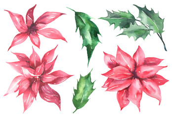 Watercolor floral collection with Christmas red flowers and green leaves. Floral collection perfect for spring greeting cards, invitation, cards and more. High quality illustration