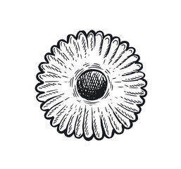  Cookie set hand drawn illustration. Vector.