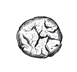  Cookie set hand drawn illustration. Vector.