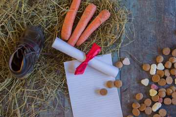 A shoe with a carrot and hay for the horse of Sinterklaas