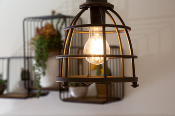 A view of a contemporary light fixture and a mounted wall decor design featuring metal shelves holding rustic fake plants inside a room.