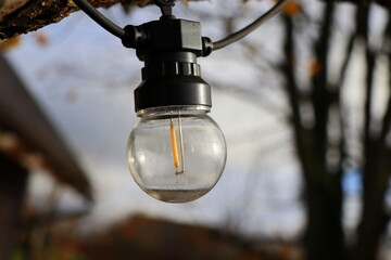 Decorative outdoor lights bulb hanging on tree in the garden at night time