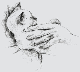 Vector textured drawing of cute small kitten sleeping in human hands