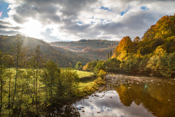 The mountain river near the forest in the autumn season. Morning in the mountains. Autumn yellow trees.