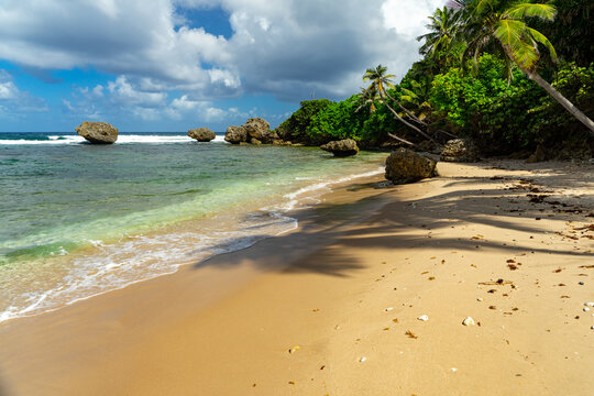 Caribbean beach with beautiful blue water  and some fluffy white clouds