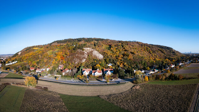 Bisamberg im Weinviertel im Herbst. Erholung und Freizeitziel in der Nähe von Korneuburg.