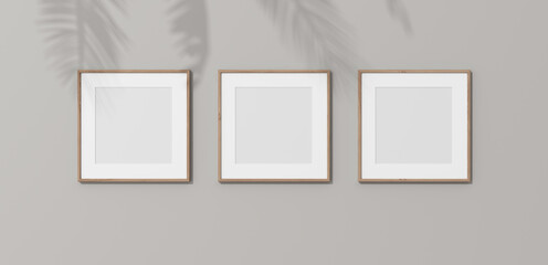 Square wooden frames with passe partout on white wall. 3D render wooden frame mock up in the empty interior. 3D illustrations. Shadow on the wall. Place for your text. Template for design.	