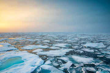 Arctic Ocean Sea Ice - obrazy, fototapety, plakaty