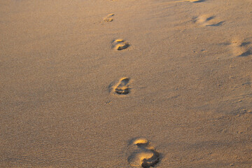 Footprints in the sand on the beach against background.