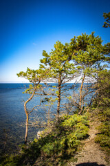 Fototapeta na wymiar panga cliffs, island of saaremaa, estonia, baltics 